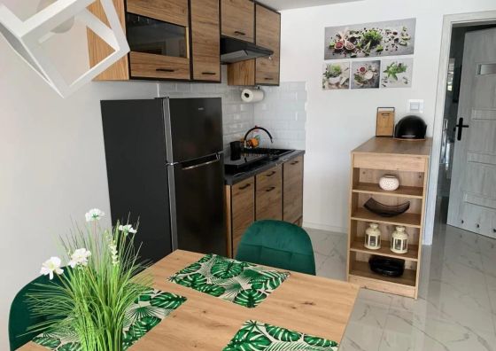 Apartamenty rzut beretem Ryn