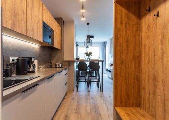 Apartament TINY&KLEINE Kilińskiego 17B Centrum Szklarska Poręba  