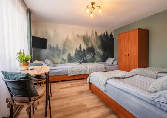 Pokoje Gościnne Zamiejska