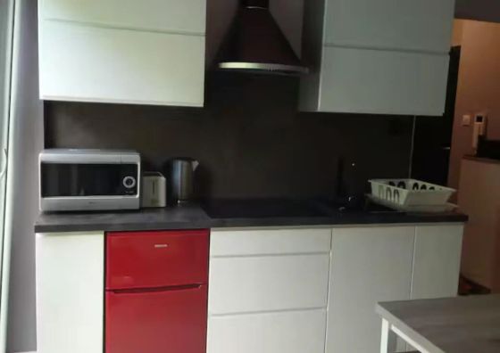 Apartament Zabrze Park Zabrze