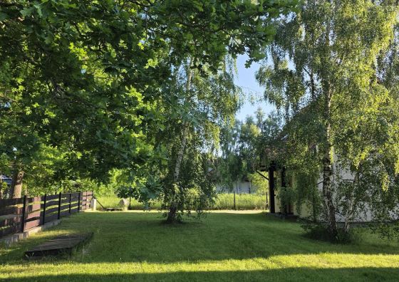 Letnisko „Bursztynowe łąki” Kopalino