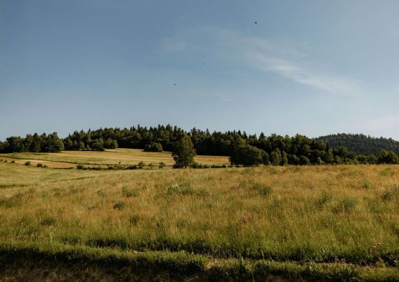 Domki Sokoli Zakątek Bukowiec