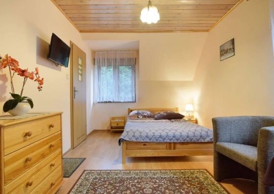 Willa Alina - Pokoje i Apartamenty Międzygórze