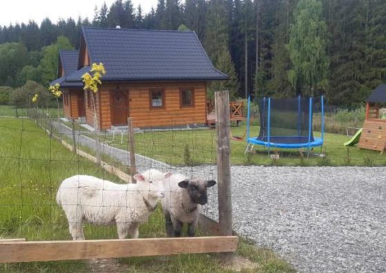Domki w Dolinie Olzy Istebna