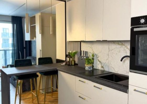 Green Baltic Portovo Premium Apartment City Center Balcony