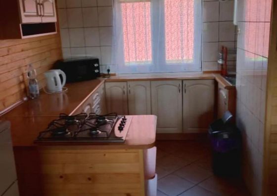 Domek Olchowiec 2 Nad Soliną