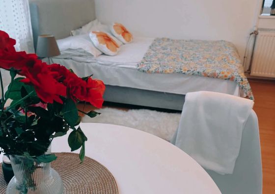 Apartament Centrum Kudowy wygodne lokum, parking Kudowa-Zdrój