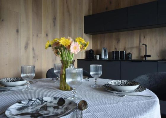 Apartament Wiślane Wzgórze D9 Wisła