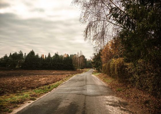 Rajsco - domek nad Jeziorem Budzisławskim