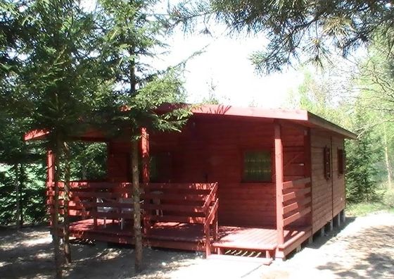 Domki Nad Jeziorami Wilczyn