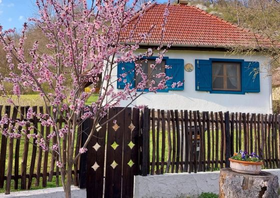 Orgona Ház Szécsény