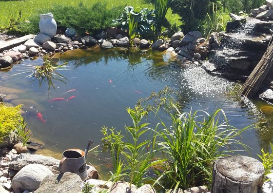 Magnolia Rooms Serock