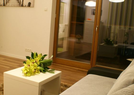 IRS Apartament Olive Suite Gdańsk