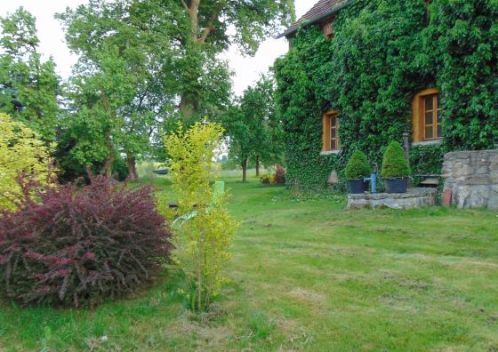 Bikówka Gospodarstwo Agroturystyczne Świecie/ Leśna