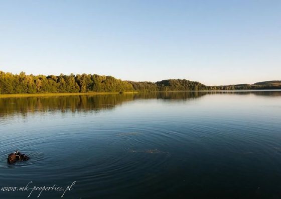 Domek letniskowy Miła Dolina Miłakowo