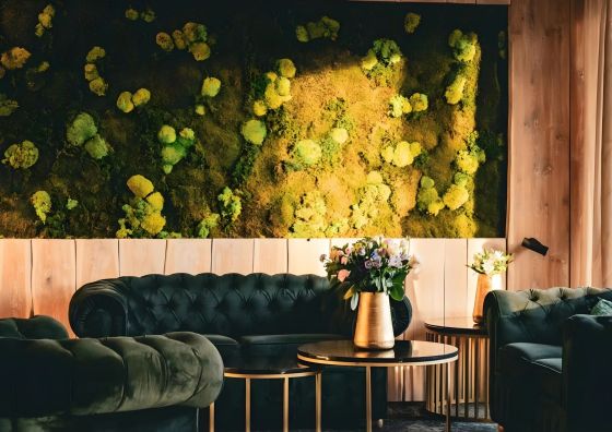 Hotel&Medi-SPA Biały Kamień Świeradów-Zdrój