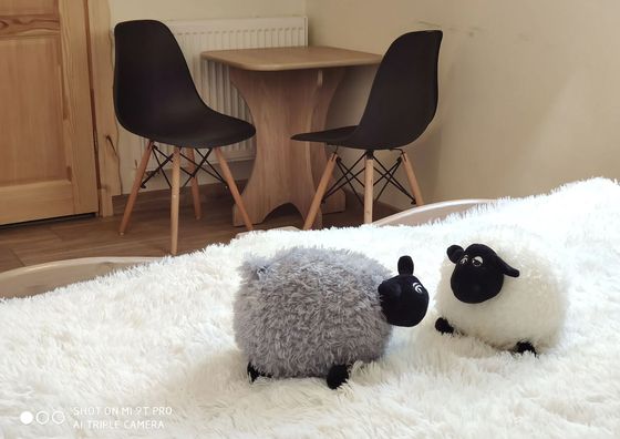 Pokoje Gościnne U Hajduka Murzasichle