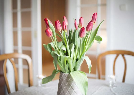 Apartament Karlik Sopot