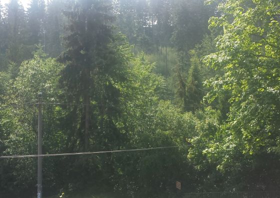 Alaska Wisła Pokoje