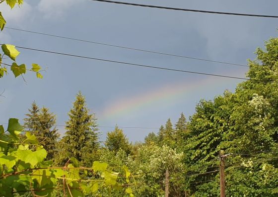 Alaska Wisła Pokoje