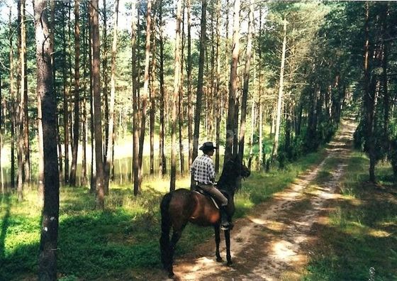 Agroturystyka Starka Klonowo