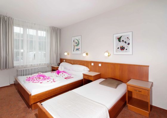 Hotel Sněžka Špindlerův Mlýn