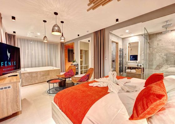 WELLNESS HOTEL FÉNIX Liberec