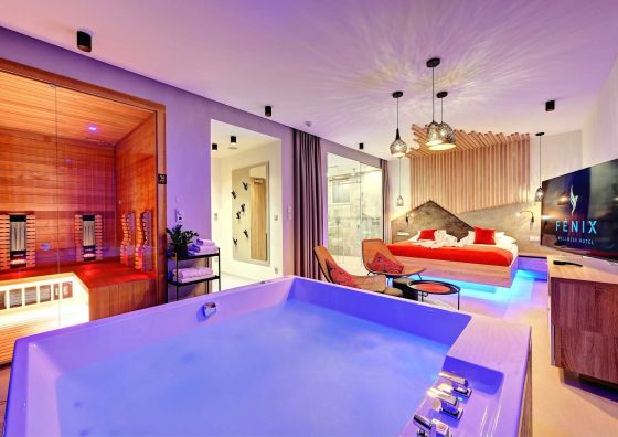WELLNESS HOTEL FÉNIX Liberec