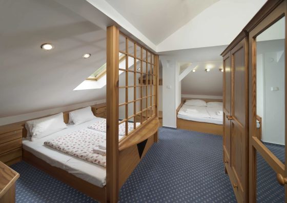 Alpský hotel Špindlerův Mlýn