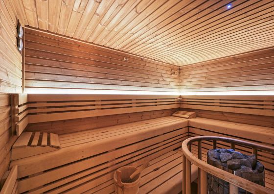 David wellness hotel Harrachov