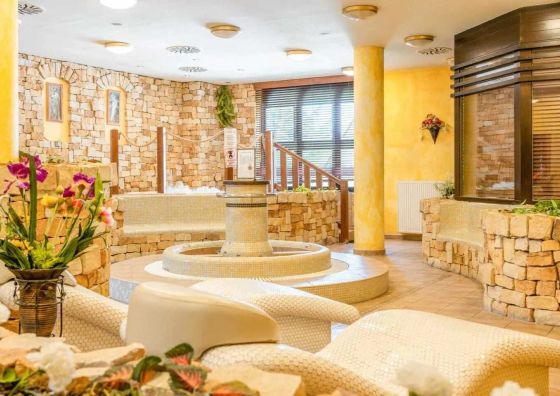 Spa Hotel Bílý Hořec Harrachov