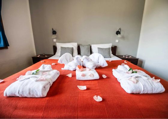 Spa Hotel Bílý Hořec Harrachov