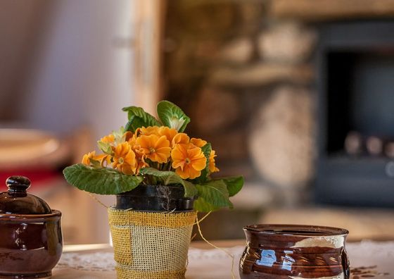 Apartament Pod Reglami Kościelisko