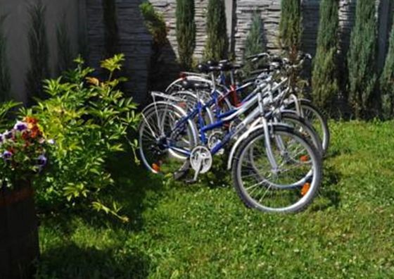 Willa Dorotka Busko-Zdrój