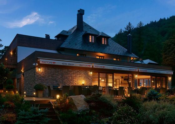 Hotel Singer Ludvíkov