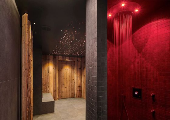 Hotel Singer Ludvíkov