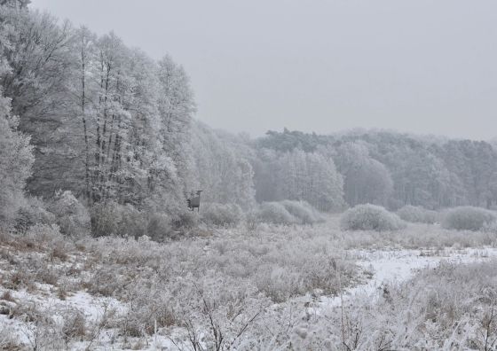 Agroturystyka Modrzewiowe Wzgórze Promno