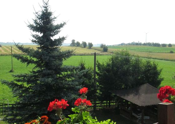 Apartament - pokoje u Elżbiety