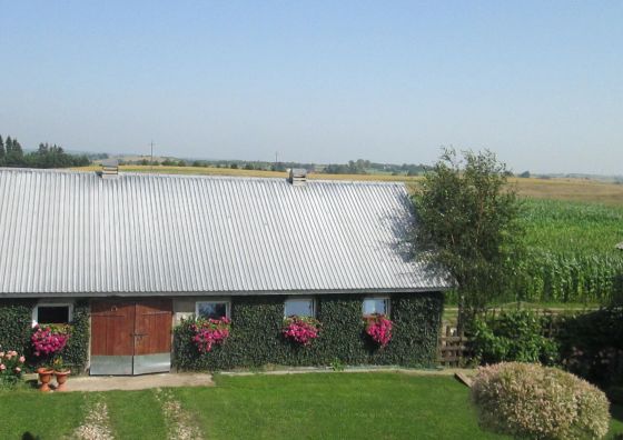 Apartament - pokoje u Elżbiety