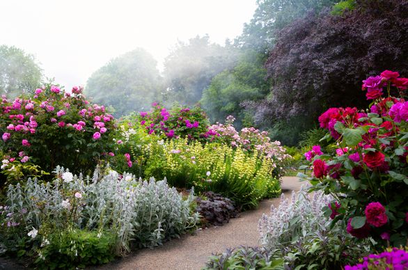 Jak stworzyć ogród w stylu angielskim?