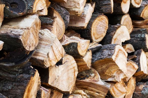 Jak sezonować drewno opałowe? Ile musi schnąć drewno do kominka?