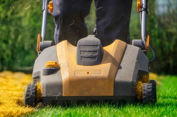 Kiedy przeprowadzić aerację trawnika?