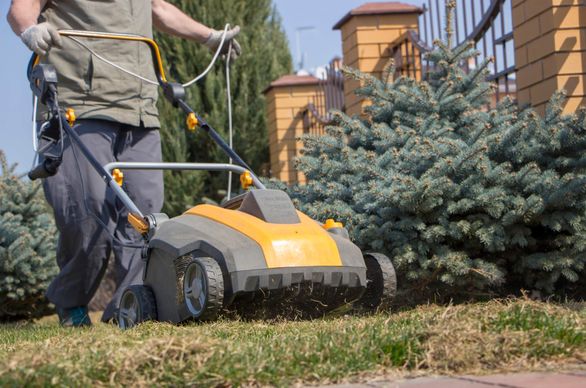 Wertykulacja trawnika