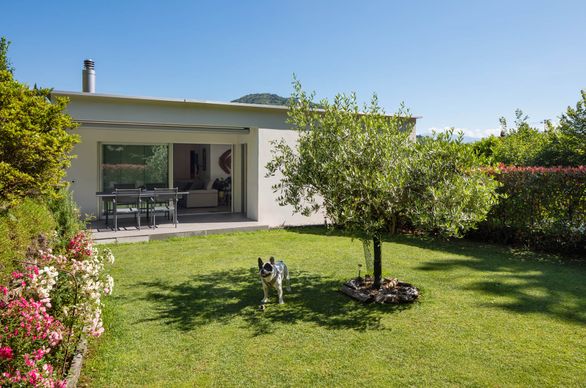 Jakie domy najchętniej wybierali Polacy w 2023 roku?