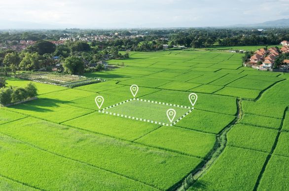 Podział działki rolnej