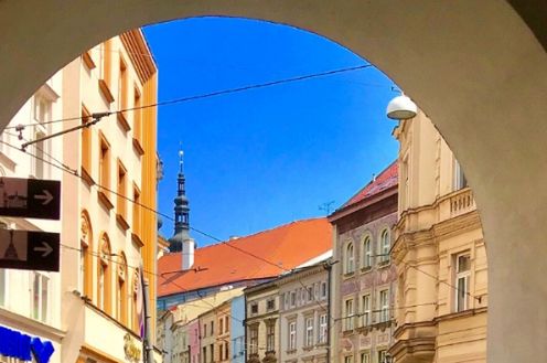 Jak zbudować ścianę na planie łuku?