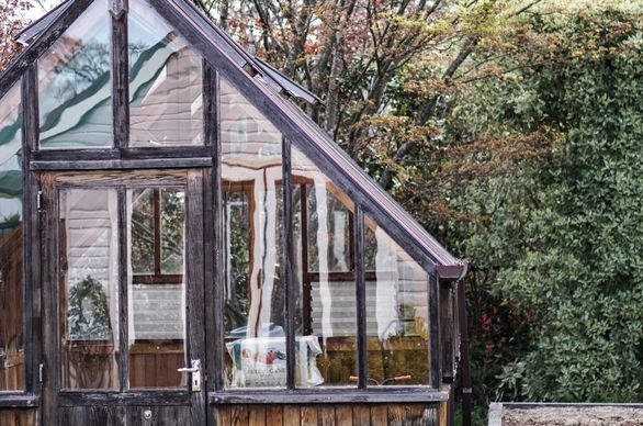 Drewno konstrukcyjne