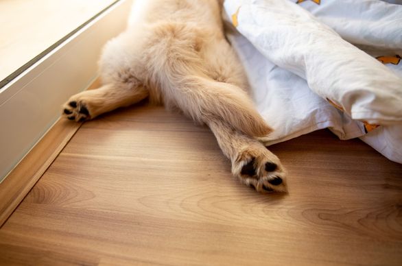 Listwy progowe - jak wygląda montaż listew progowych?