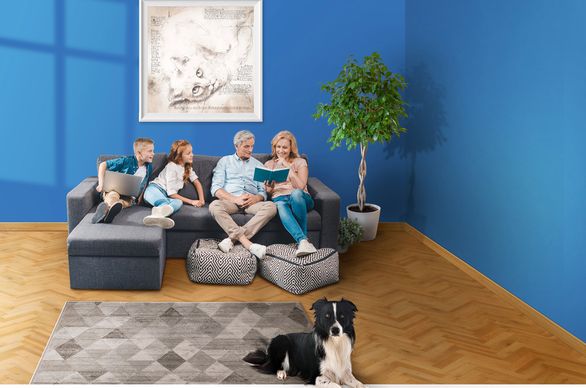 Farby antybakteryjne – dlaczego warto stosować je w swoim domu?