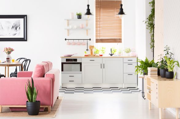 Salon z aneksem kuchennym